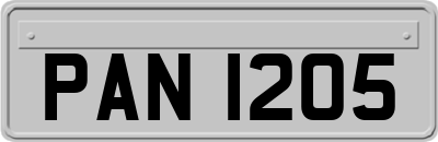 PAN1205