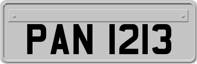 PAN1213