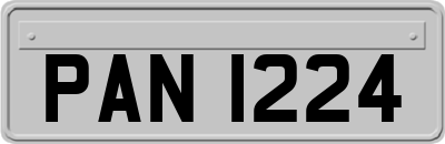 PAN1224