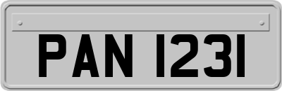 PAN1231