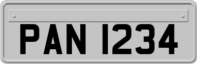 PAN1234