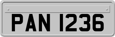PAN1236