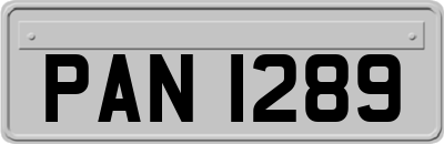 PAN1289
