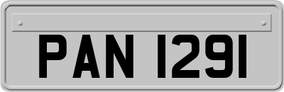 PAN1291