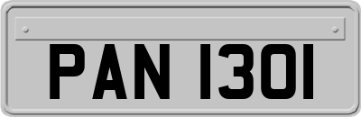 PAN1301