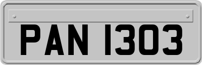 PAN1303