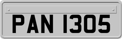 PAN1305
