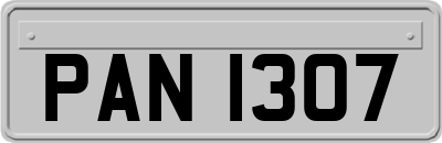 PAN1307