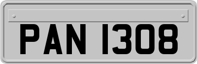 PAN1308