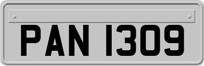 PAN1309