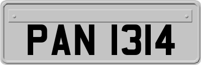 PAN1314