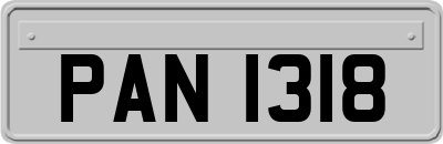 PAN1318