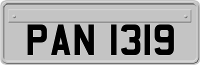 PAN1319