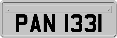 PAN1331