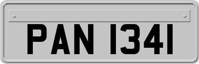 PAN1341