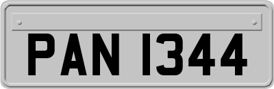 PAN1344