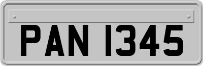 PAN1345