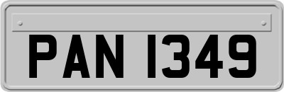 PAN1349
