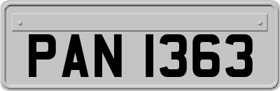 PAN1363