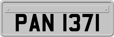 PAN1371