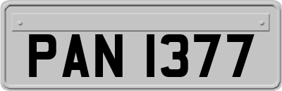 PAN1377