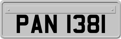 PAN1381