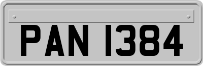 PAN1384