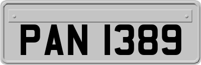 PAN1389