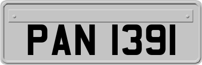 PAN1391