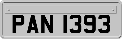 PAN1393