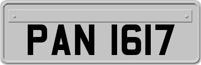 PAN1617