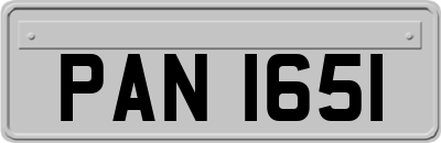 PAN1651