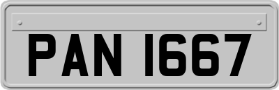 PAN1667