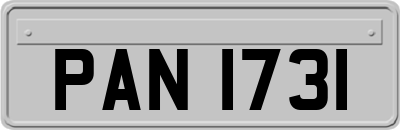 PAN1731