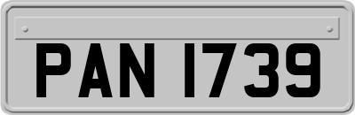 PAN1739