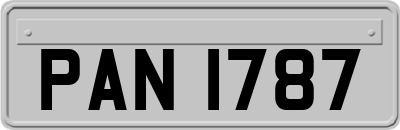 PAN1787
