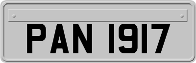 PAN1917