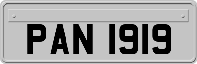 PAN1919