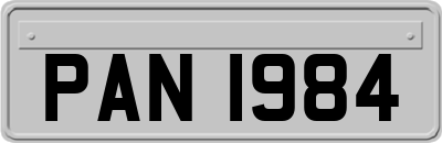 PAN1984