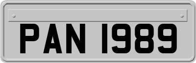 PAN1989