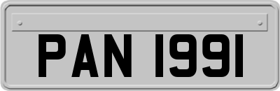 PAN1991