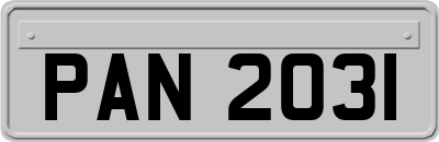 PAN2031