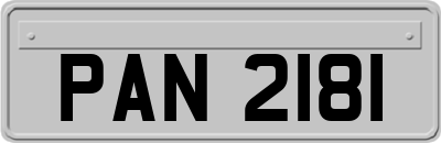PAN2181
