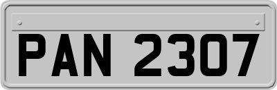PAN2307