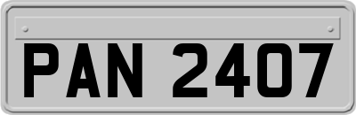 PAN2407
