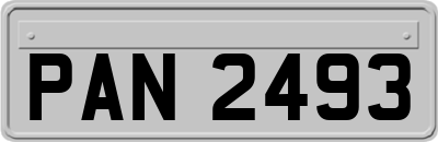 PAN2493