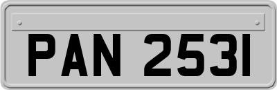 PAN2531