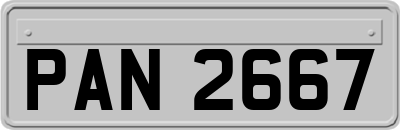 PAN2667