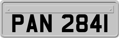 PAN2841