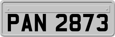 PAN2873